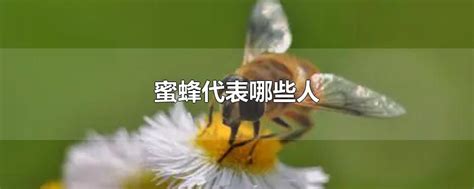 生物之間的微妙關係 主旨 蜜蜂代表